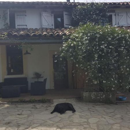 La Sourciere D'Eros Hotel Bellesserre Kültér fotó